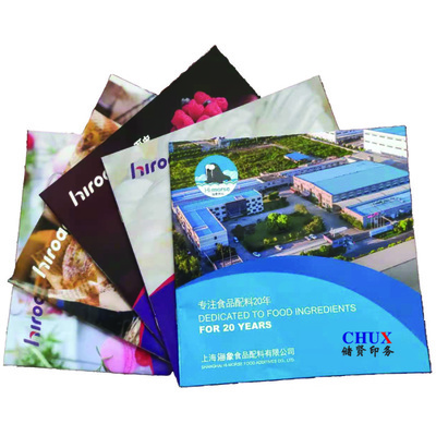 企業畫冊印刷宣傳冊企業折頁樣本印刷定制